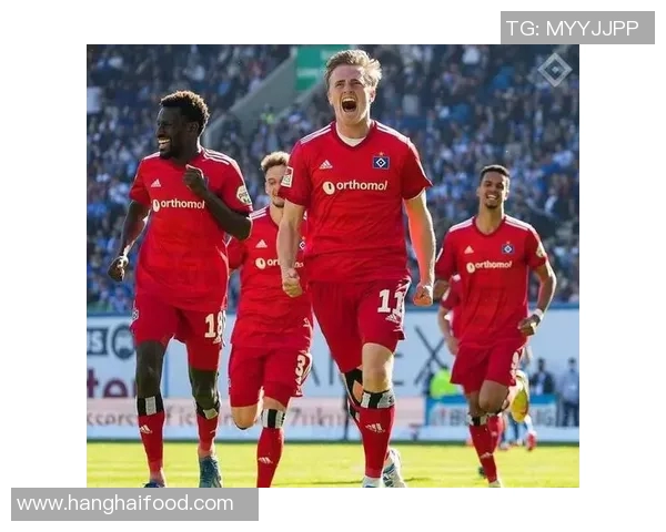 德甲焦点战得累斯顿迎战汉堡双方争夺季后赛名额的关键对决