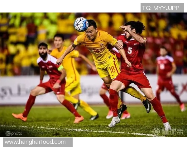 普马斯与里昂历史交锋比分回顾及分析