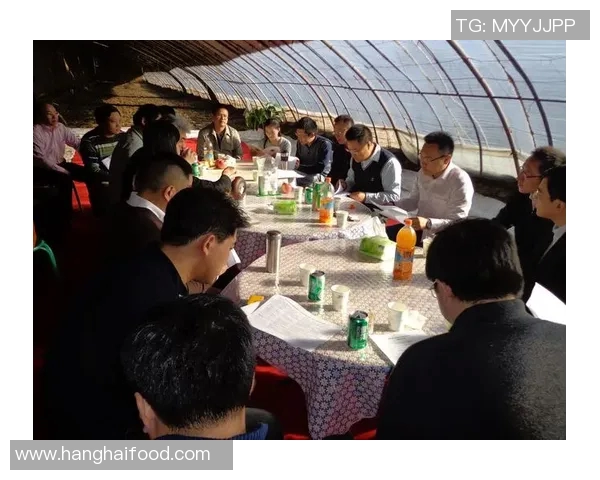 飞盘运动的崛起与李磊的成功秘诀探讨MBA